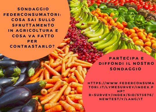 sondaggio sfruttamento in agricoltura.jpg